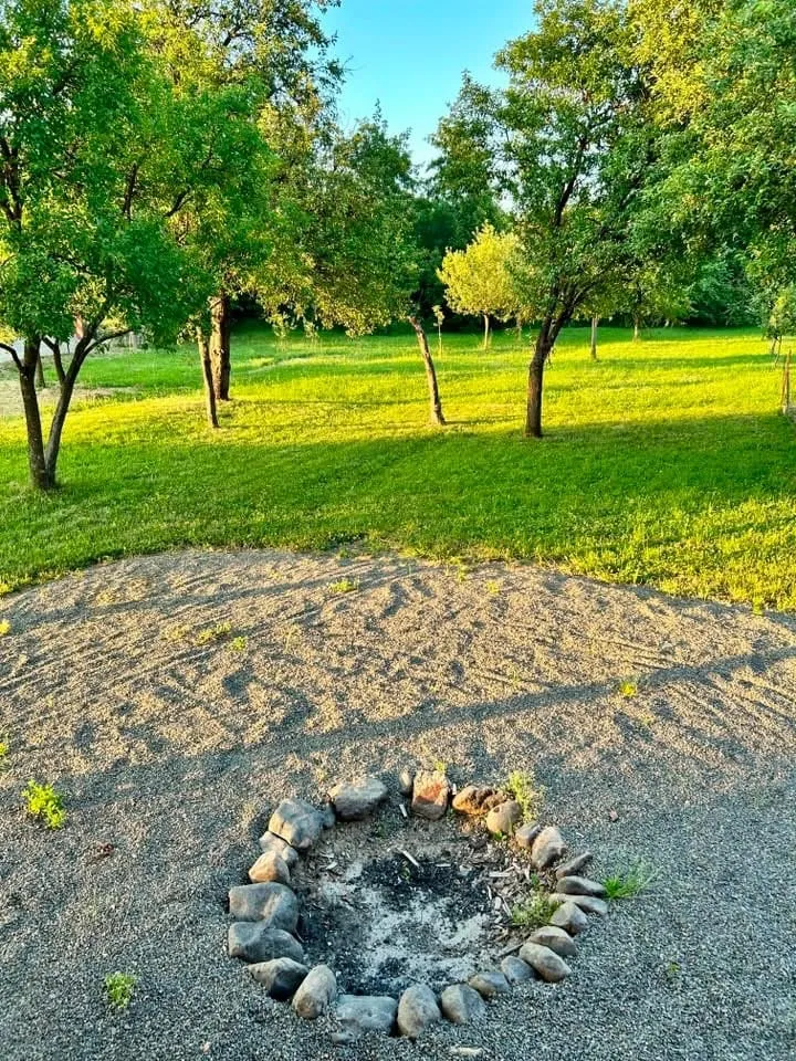 Curtea verde a vilei, cu iarbă, pomi și un loc amenajat pentru foc